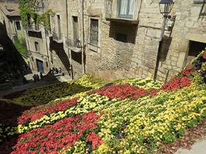 Temps de Flors 2017. Muntatges, instal&middot;lacions i exposicions florals a diversos indrets