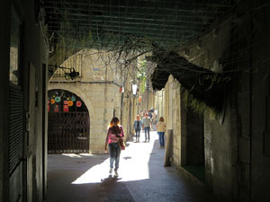 Temps de Flors 2017. Muntatges, instal&middot;lacions i exposicions florals a diversos indrets