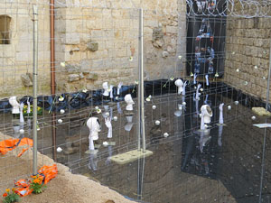 Temps de Flors 2017. Muntatges, instal&middot;lacions i exposicions florals a diversos indrets