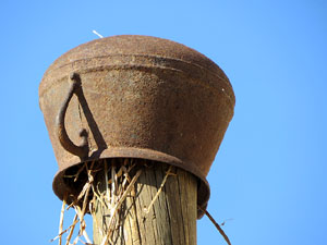 Temps de Flors 2017. Muntatges, instal&middot;lacions i exposicions florals a diversos indrets