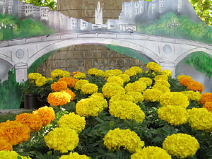 Temps de Flors 2017. Muntatges, instal&middot;lacions i exposicions florals a diversos indrets