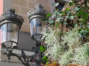 Temps de Flors 2017. Muntatges, instal&middot;lacions i exposicions florals a diversos indrets