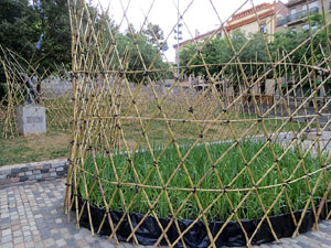 Temps de Flors 2017. Muntatges, instal&middot;lacions i exposicions florals a diversos indrets