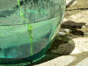 Temps de Flors 2017. Muntatges, instal&middot;lacions i exposicions florals a diversos indrets