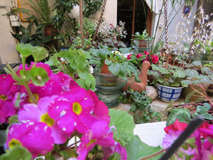 Temps de Flors 2017. Muntatges, instal&middot;lacions i exposicions florals a diversos indrets