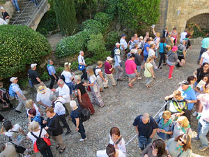 Temps de Flors 2017. Instal&middot;lacions i decoracions florals als diversos espais del carrer Ferran el cat&ograve;lic