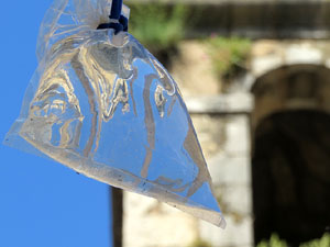 Temps de Flors 2017. Instal&middot;lacions i decoracions florals als diversos espais del carrer Ferran el cat&ograve;lic