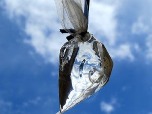 Temps de Flors 2017. Instal&middot;lacions i decoracions florals als diversos espais del carrer Ferran el cat&ograve;lic