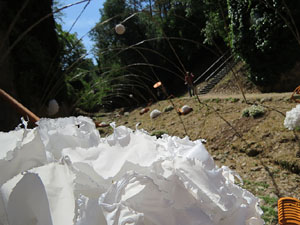 Temps de Flors 2017. Instal&middot;lacions i decoracions florals al riu Galligants