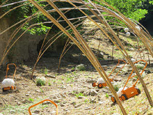 Temps de Flors 2017. Instal&middot;lacions i decoracions florals al riu Galligants