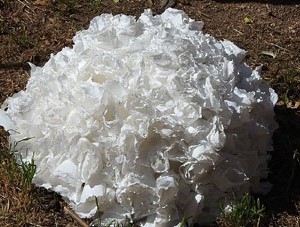 Temps de Flors 2017. Instal&middot;lacions i decoracions florals al riu Galligants