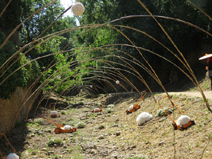 Temps de Flors 2017. Instal&middot;lacions i decoracions florals al riu Galligants