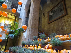 Temps de Flors 2017. Instal&middot;laci&oacute; Tarongina al pati de l'edifici de les Germanes Maria Gay