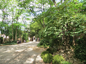 Temps de Flors 2017. Instal&middot;lacions i muntatges florals als Jardins dels Alemanys