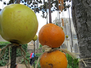 Temps de Flors 2017. Instal&middot;lacions i muntatges florals als Jardins de la Francesa, a tocar els absis de la Catedral