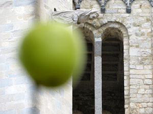 Temps de Flors 2017. Instal&middot;lacions i muntatges florals als Jardins de la Francesa, a tocar els absis de la Catedral
