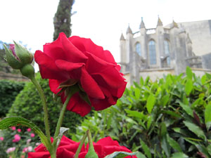 Temps de Flors 2017. Instal&middot;lacions i muntatges florals als Jardins de la Francesa, a tocar els absis de la Catedral
