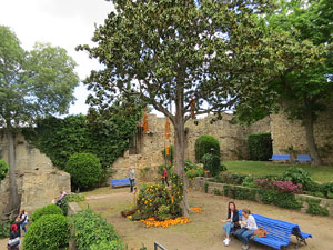 Temps de Flors 2017. Instal&middot;lacions i muntatges florals als Jardins de la Francesa, a tocar els absis de la Catedral
