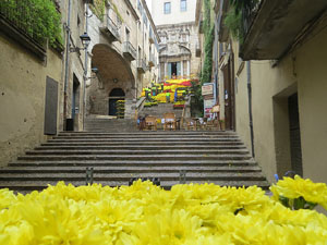 Temps de Flors 2017. Making of de l'esdeveniment