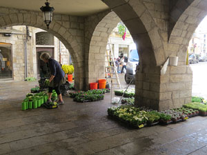 Temps de Flors 2017. Making of de l'esdeveniment
