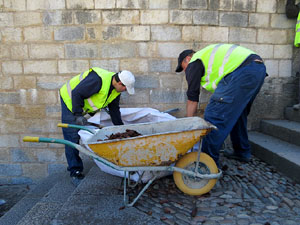 Temps de Flors 2017. Making of de l'esdeveniment