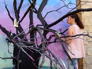 Temps de Flors 2017. Making of de l'esdeveniment