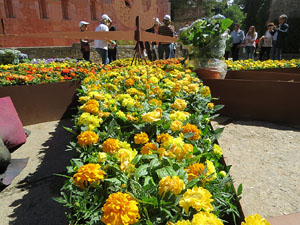 Temps de Flors 2017. Making of de l'esdeveniment