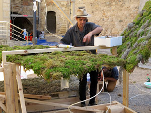 Temps de Flors 2017. Making of de l'esdeveniment