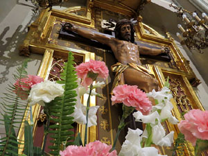 Temps de Flors 2017. Instal&middot;lacions i muntatges florals al Centre geri&agrave;tric Maria Gay