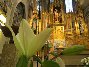 Temps de Flors 2017. Instal&middot;lacions i muntatges florals al Centre geri&agrave;tric Maria Gay