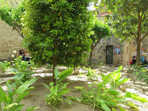 Temps de Flors 2017. Instal&middot;lacions i muntatges florals als Jardins del Museu d'Art de Girona