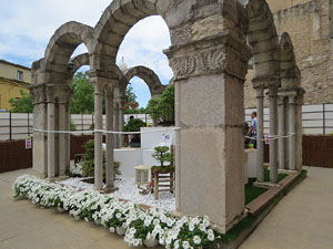 Temps de Flors 2017. Mostra de bonsais a la terrassa del Museu d'Hist&ograve;ria