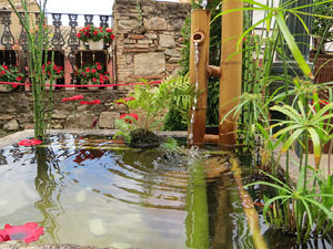 Temps de Flors 2017. Mostra de bonsais a la terrassa del Museu d'Hist&ograve;ria