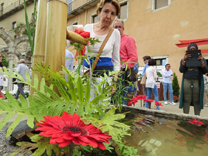 Temps de Flors 2017. Mostra de bonsais a la terrassa del Museu d'Hist&ograve;ria