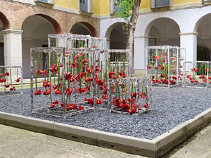 Temps de Flors 2017. Instal&middot;lacions i muntatges florals al claustre del Centre Cultural La Merc&egrave;
