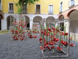 Temps de Flors 2017. Instal&middot;lacions i muntatges florals al claustre del Centre Cultural La Merc&egrave;