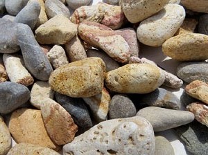 Temps de Flors 2017. Instal&middot;lacions i muntatges al Mirador del Carrer de les Dones