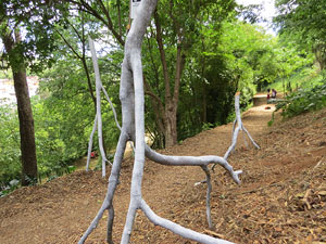 Temps de Flors 2017. Instal&middot;lacions i decoracions florals als diversos espais del Passeig Arqueol&ograve;gic