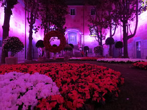 Temps de Flors 2017. Decoraci&oacute; floral del Pati de les Magn&ograve;lies, a la Seu del Govern de la Generalitat de Catalunya a Girona, amb azalees de Gant, B&egrave;lgica