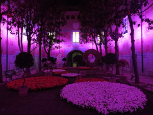 Temps de Flors 2017. Decoraci&oacute; floral del Pati de les Magn&ograve;lies, a la Seu del Govern de la Generalitat de Catalunya a Girona, amb azalees de Gant, B&egrave;lgica
