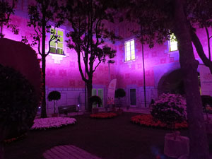 Temps de Flors 2017. Decoraci&oacute; floral del Pati de les Magn&ograve;lies, a la Seu del Govern de la Generalitat de Catalunya a Girona, amb azalees de Gant, B&egrave;lgica