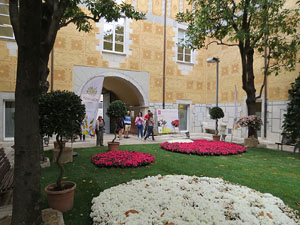 Temps de Flors 2017. Decoraci&oacute; floral del Pati de les Magn&ograve;lies, a la Seu del Govern de la Generalitat de Catalunya a Girona, amb azalees de Gant, B&egrave;lgica