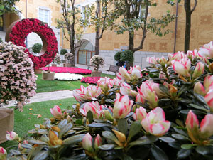 Temps de Flors 2017. Decoraci&oacute; floral del Pati de les Magn&ograve;lies, a la Seu del Govern de la Generalitat de Catalunya a Girona, amb azalees de Gant, B&egrave;lgica
