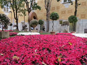 Temps de Flors 2017. Decoraci&oacute; floral del Pati de les Magn&ograve;lies, a la Seu del Govern de la Generalitat de Catalunya a Girona, amb azalees de Gant, B&egrave;lgica