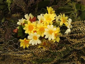 Temps de Flors 2017. Instal&middot;laci&oacute; 'Jard&iacute; B/Vot&agrave;nic' a la pla&ccedil;a Bell-lloc