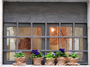 Temps de Flors 2017. Instal&middot;laci&oacute; 'Jard&iacute; B/Vot&agrave;nic' a la pla&ccedil;a Bell-lloc