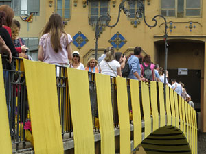 Temps de Flors 2017. Instal·lació 'Rusc a lOnyar' al Pont d'en Gómez