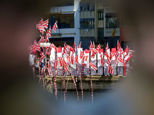 Temps de Flors 2017. Instal&middot;laci&oacute; Espiem Girona al Pont de les Peixateries Velles