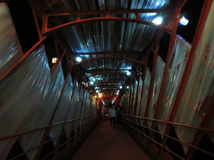 Temps de Flors 2017. Instal&middot;laci&oacute; Espiem Girona al Pont de les Peixateries Velles