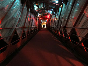 Temps de Flors 2017. Instal&middot;laci&oacute; Espiem Girona al Pont de les Peixateries Velles